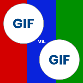 GIF vs. GIF – What Workplace Arguments Can Teach Us About Business